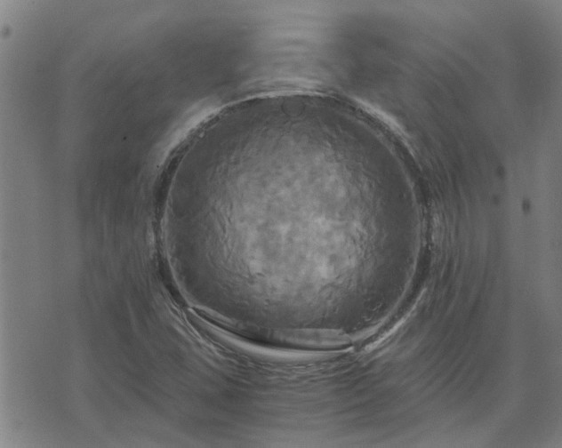 X0000075861407200609221744