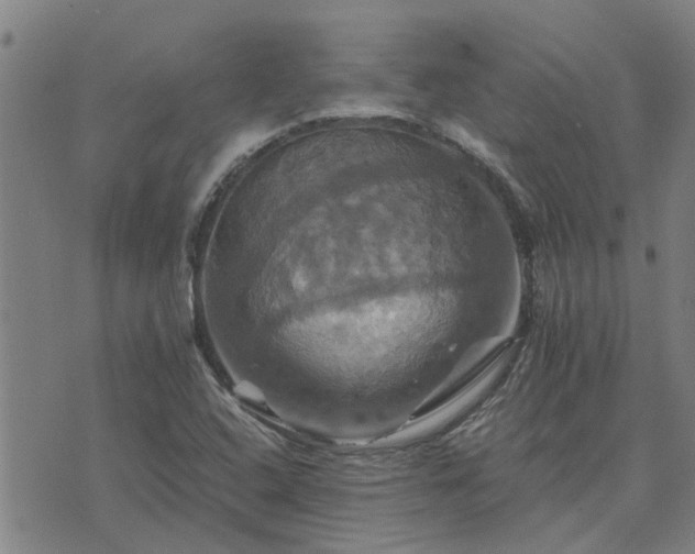 X0000075861408200609221744