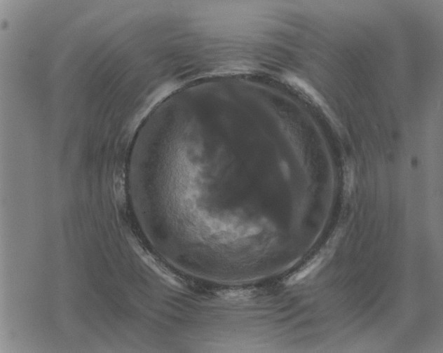 X0000075861409200609221744