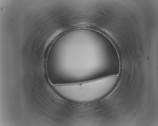 X0000075861410200609221744