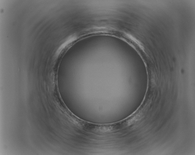 X0000075861411200609221744