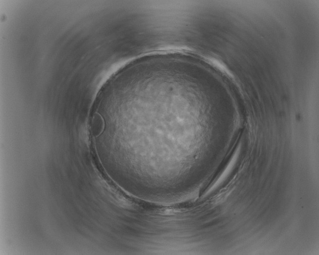 X0000075861412200609221744