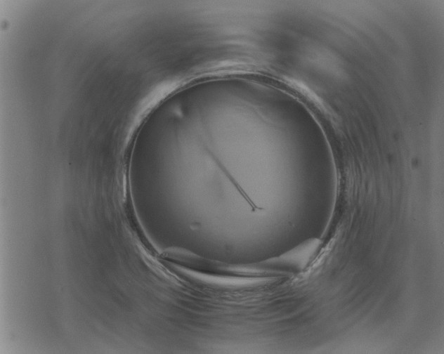 X0000075861413200609221744