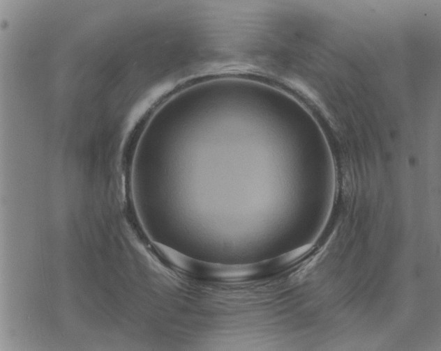 X0000075861414200609221744