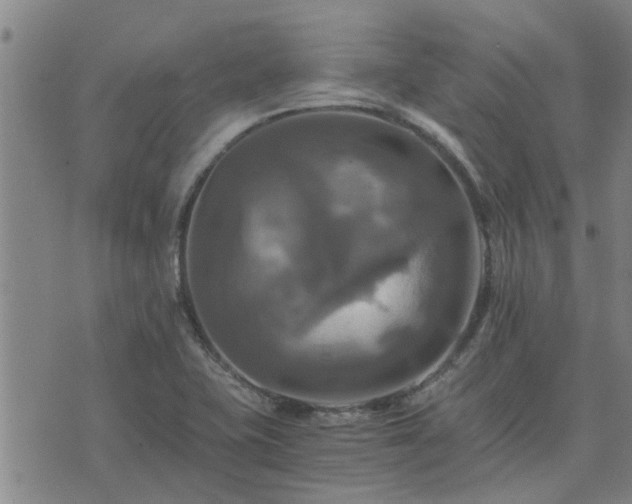 X0000075861415200609221744