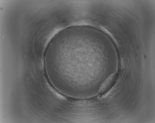 X0000075861416200609221744