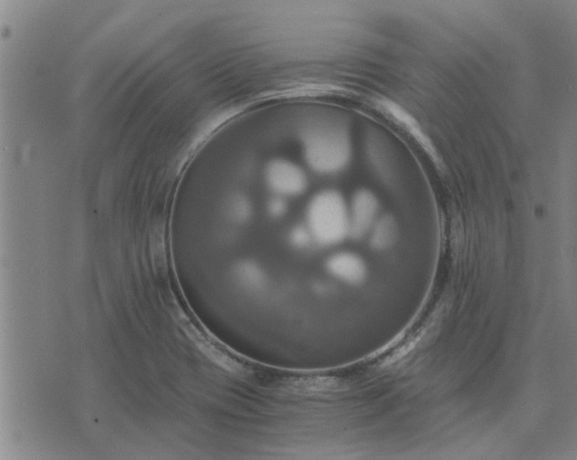 X0000075861417200609221744