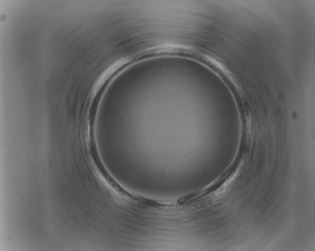 X0000075861418200609221744