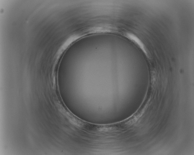 X0000075861419200609221744