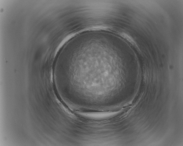 X0000075861420200609221744