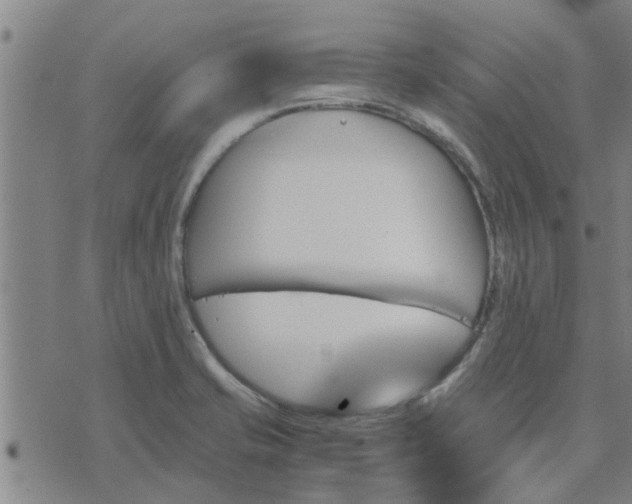 X0000075861421200609221744