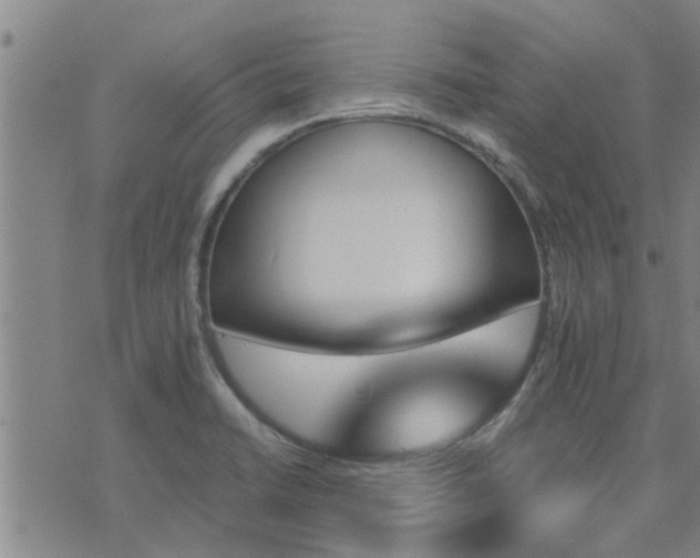 X0000075861422200609221744