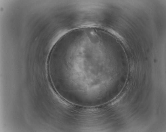 X0000075861423200609221744