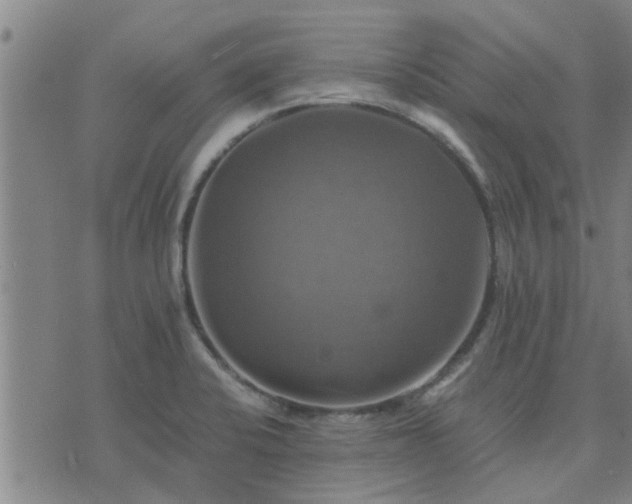 X0000075861424200609221744