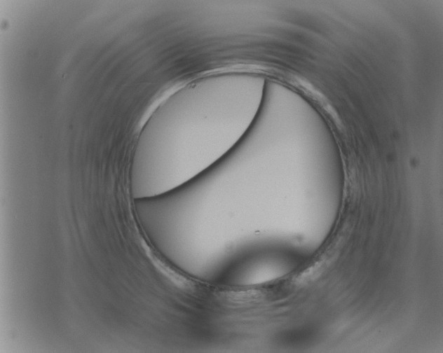 X0000075861425200609221744