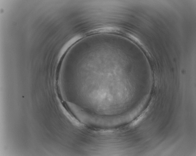 X0000075861426200609221744