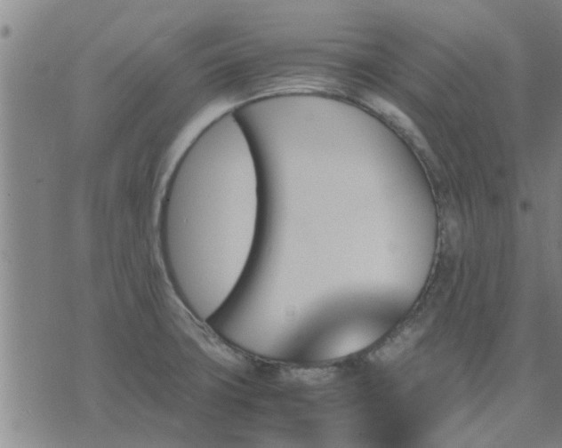 X0000075861427200609221744