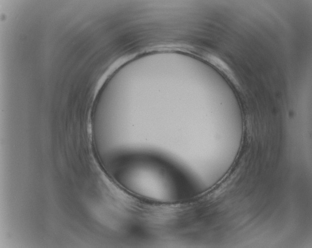 X0000075861428200609221744