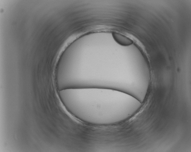 X0000075861429200609221744