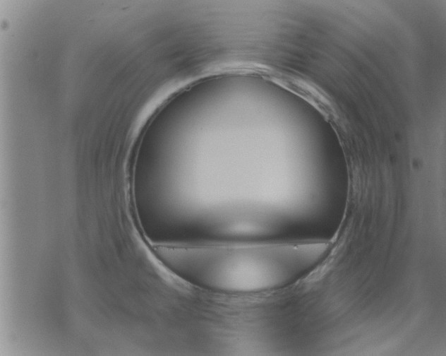 X0000075861430200609221744