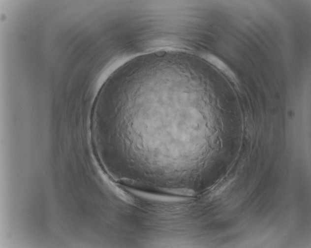 X0000075861431200609221744