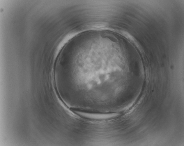 X0000075861432200609221744