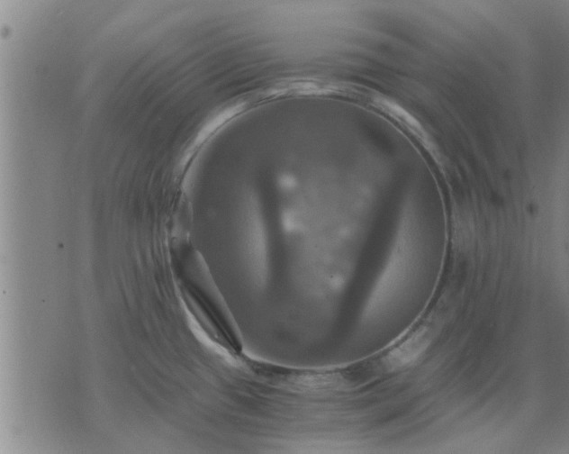 X0000075861433200609221744