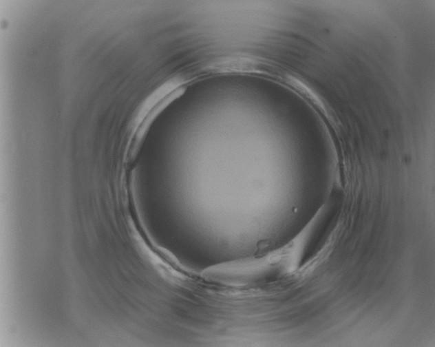 X0000075861434200609221744