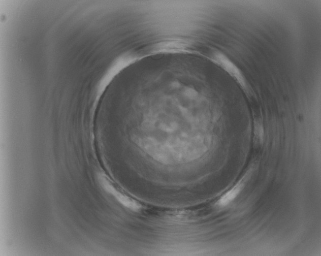 X0000075861435200609221744