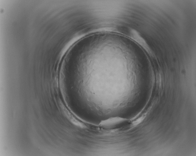 X0000075861436200609221744