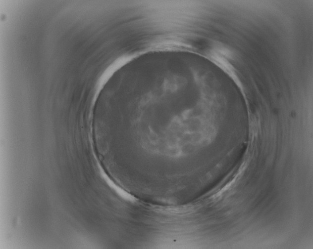 X0000075861437200609221744