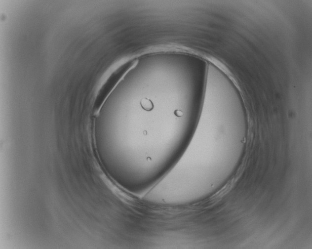 X0000075861438200609221744