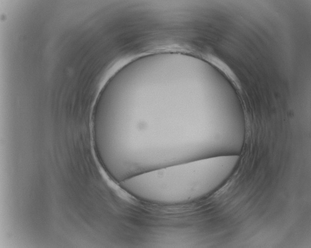 X0000075861439200609221744