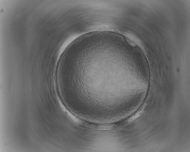 X0000075861440200609221744