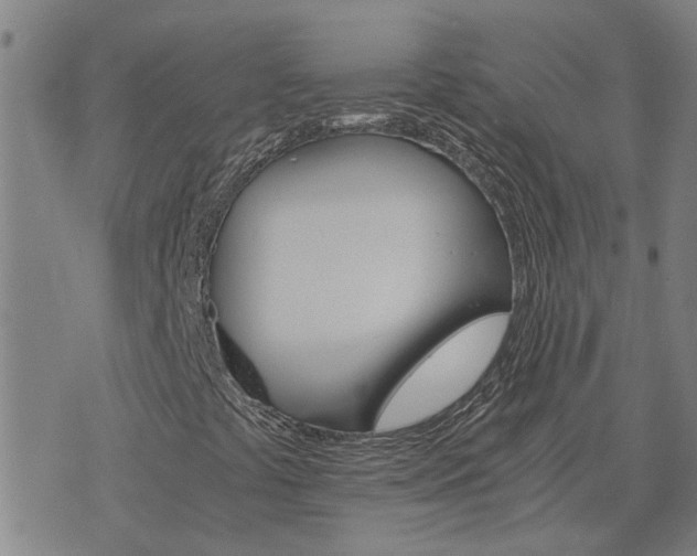 X0000075861441200609221744