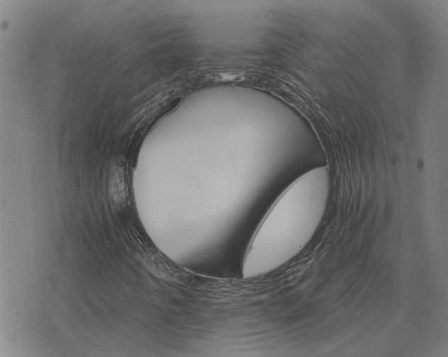 X0000075861442200609221744