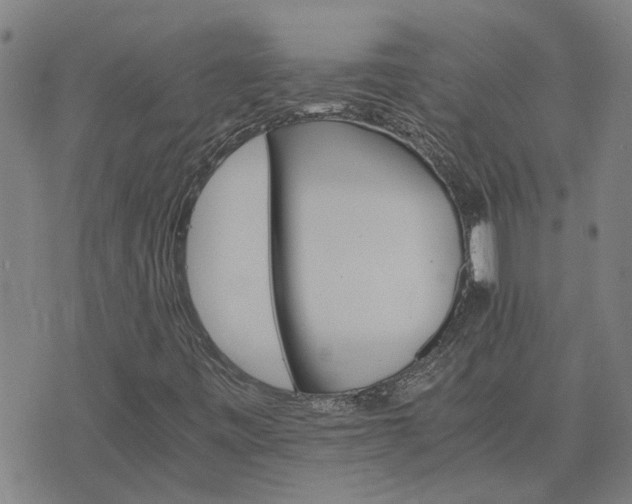 X0000075861443200609221744