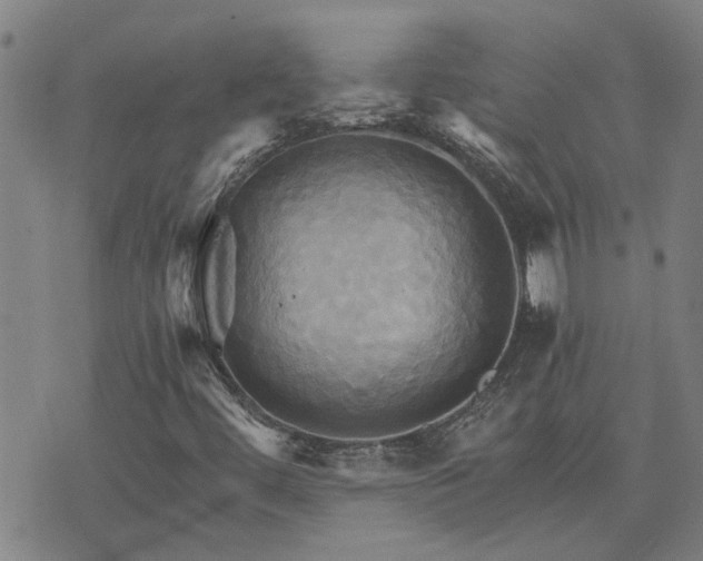 X0000075861444200609221744