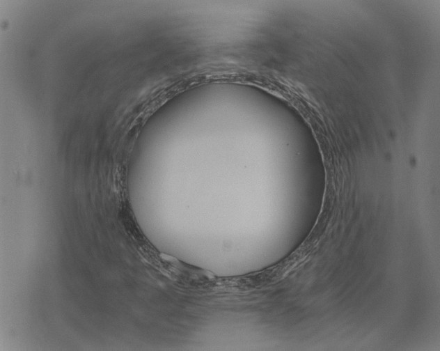 X0000075861445200609221744