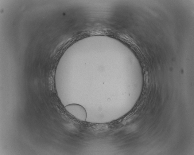 X0000075861446200609221744