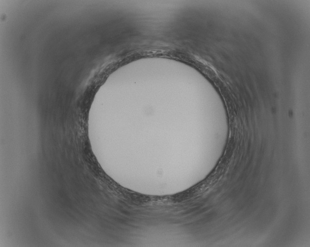 X0000075861447200609221744