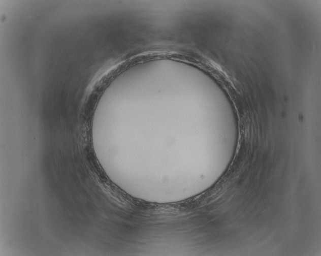 X0000075861448200609221743