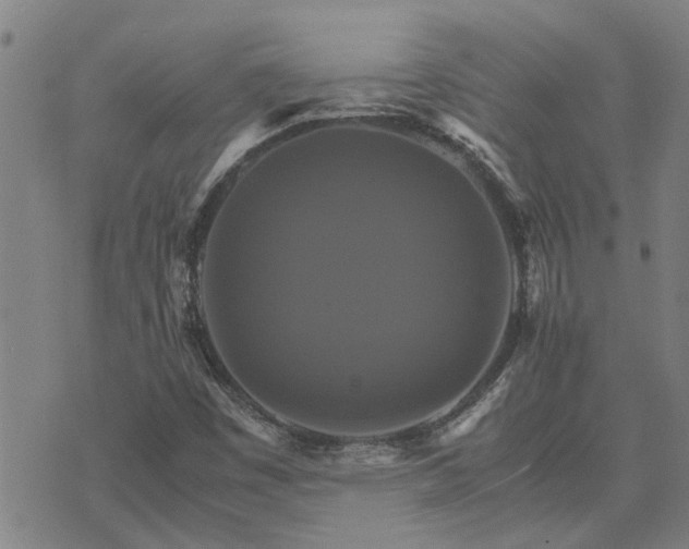 X0000075861449200609221743