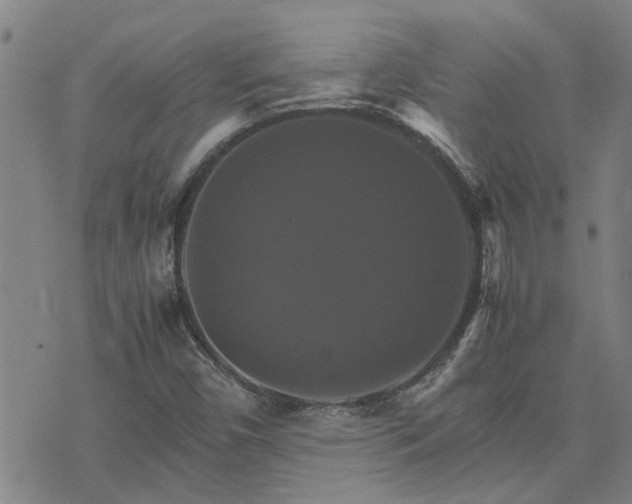 X0000075861450200609221743