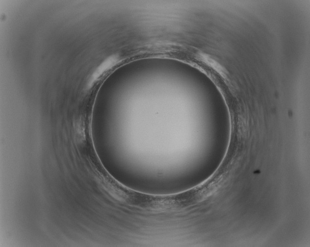 X0000075861451200609221743