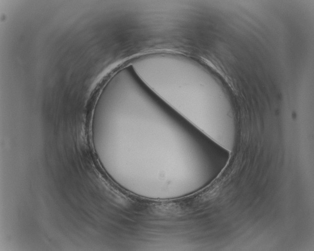 X0000075861452200609221743