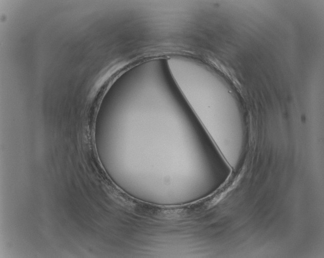 X0000075861453200609221743