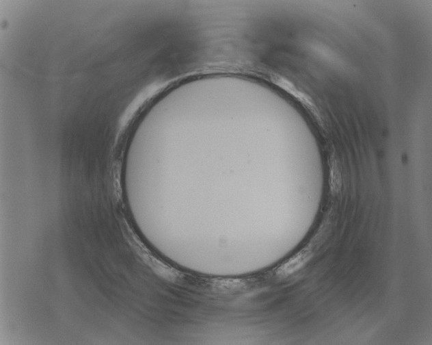 X0000075861454200609221743