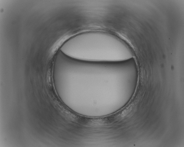 X0000075861455200609221743