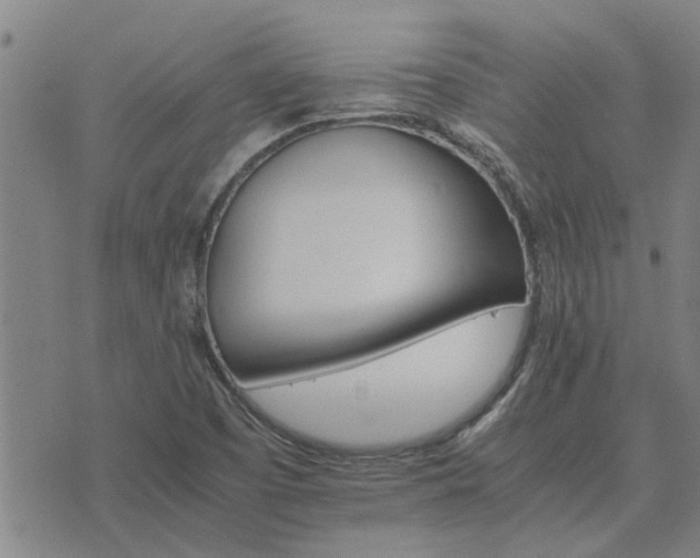 X0000075861457200609221743